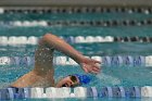 Women's Swimming & Diving  Wheaton College Women’s Swimming & Diving vs Mount Holyoke College. - Photo by Keith Nordstrom : Wheaton, Swimming & Diving